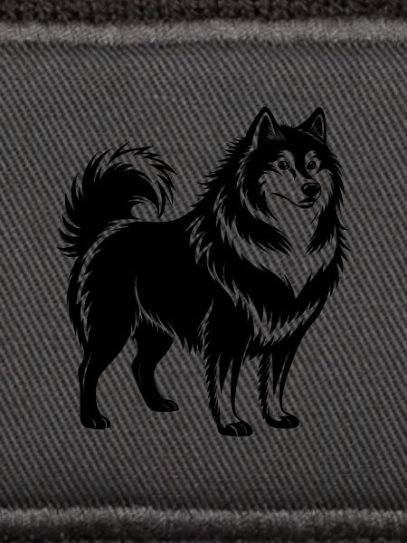 Finnischer Lapphund