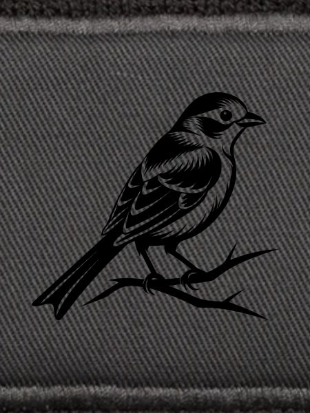 Kleiner Singvogel