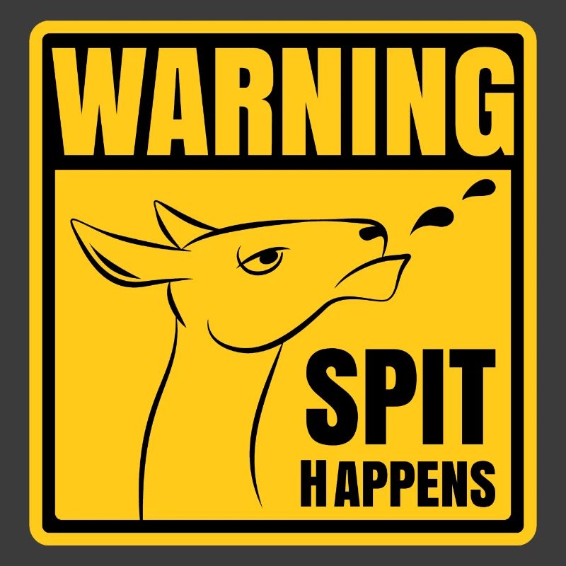 Attention - Spit arrive | Conception drôle Llama