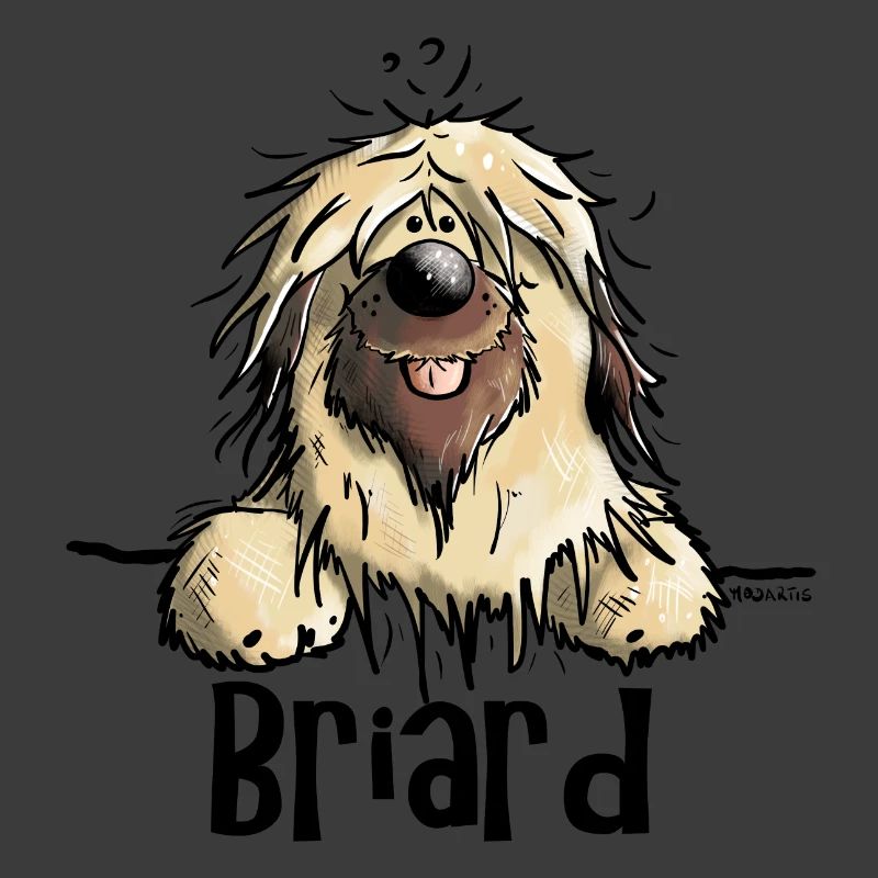 Neugieriger Briard
