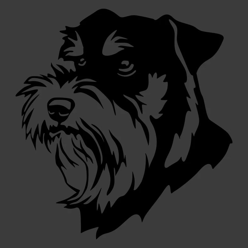 Schnauzer head