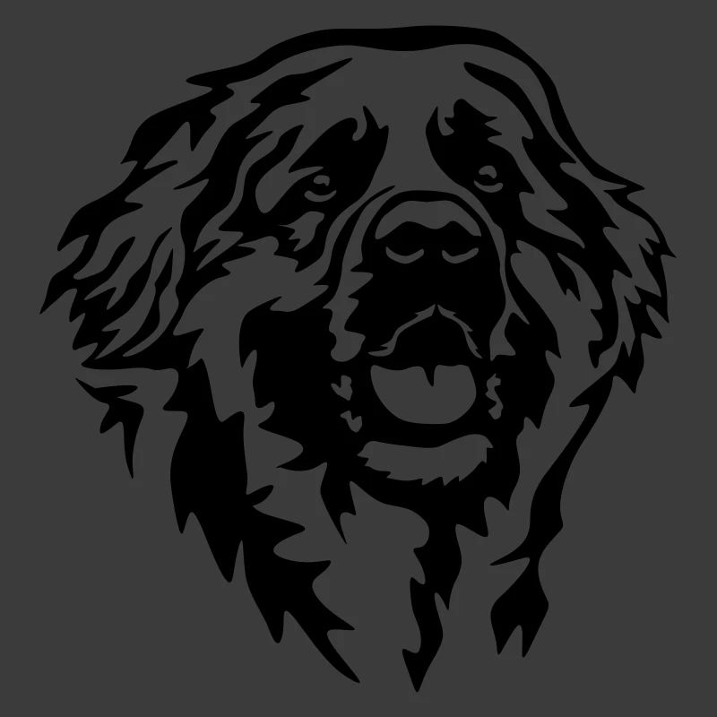 Leonberger Kopf