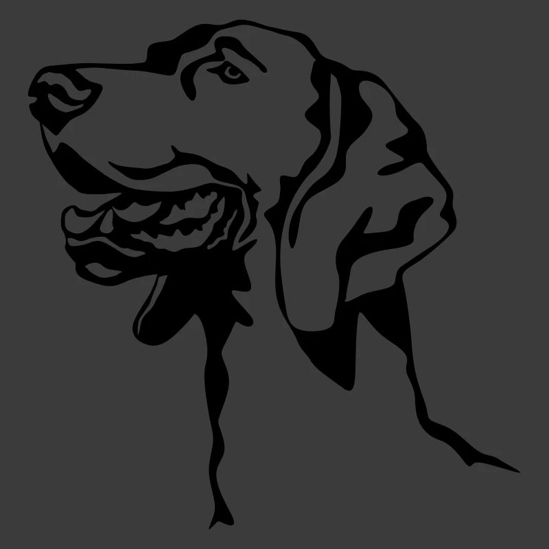 Weimaraner head