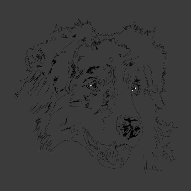 Australian Shepherd