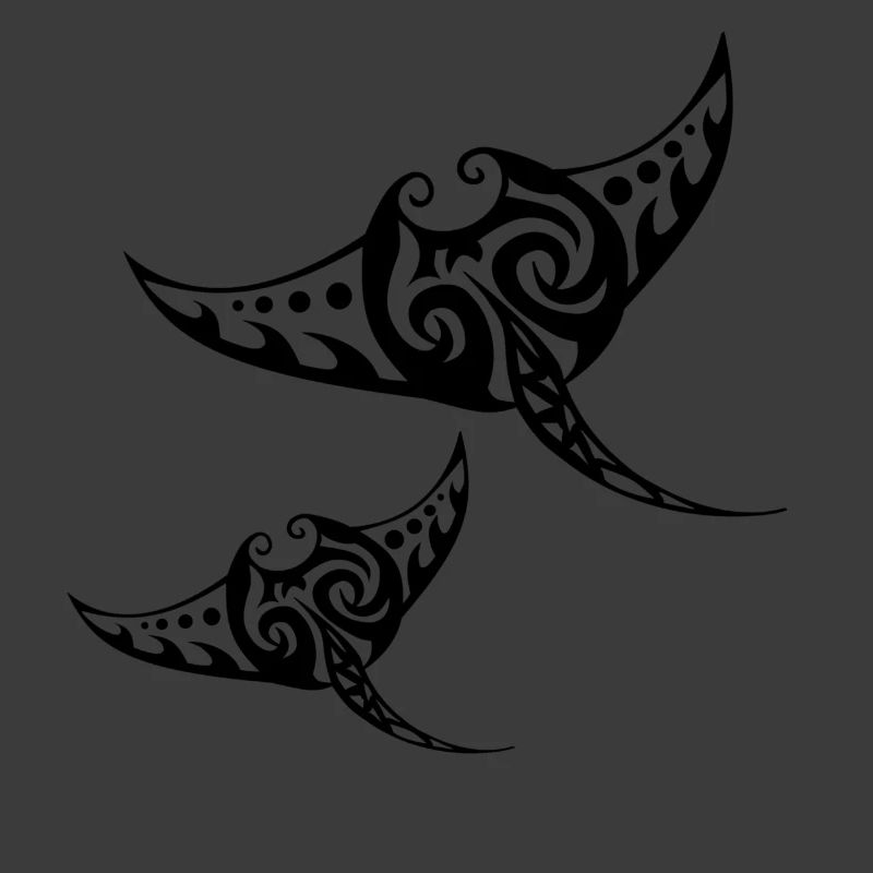 Two rays