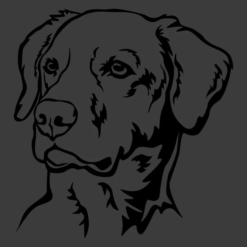 Labrador Head