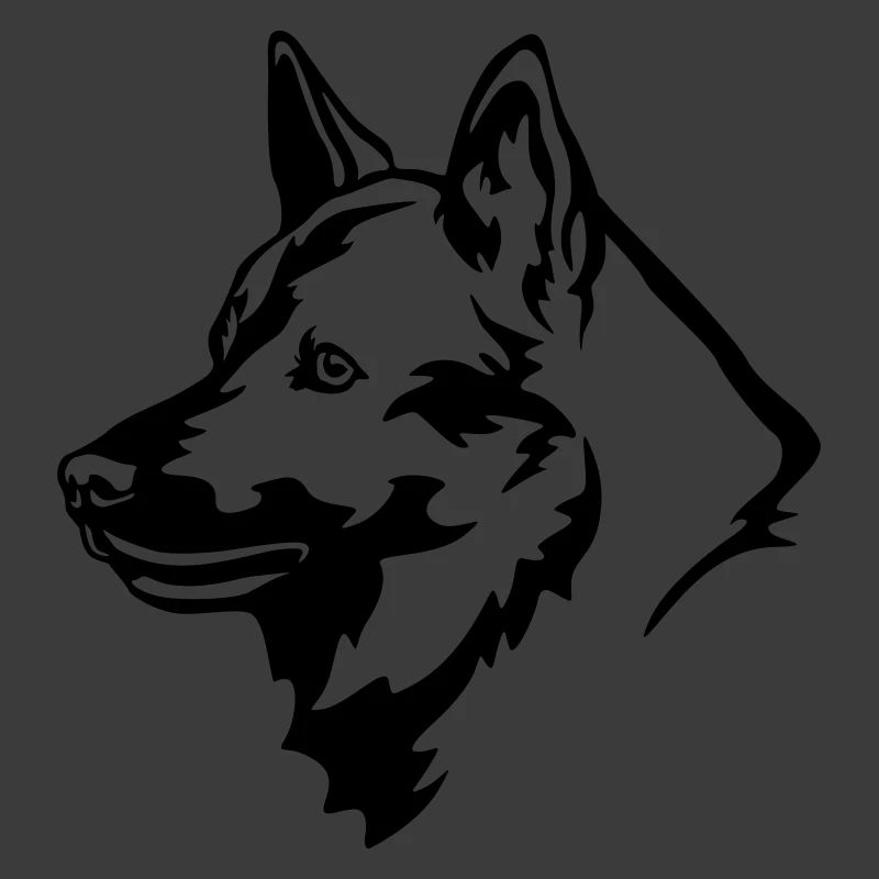 Norwegischer Elchhund Kopf