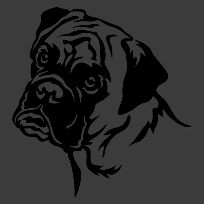 Boxer Head