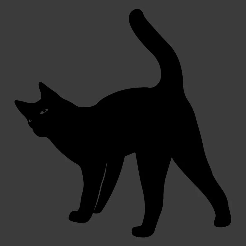 Cat cat