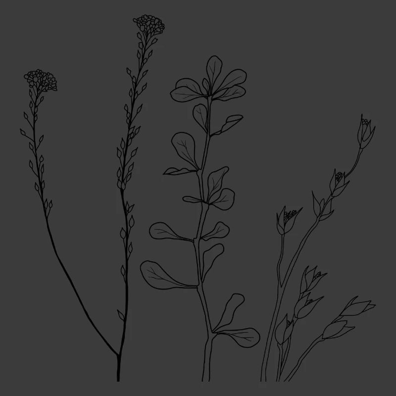 Blumen Line Art