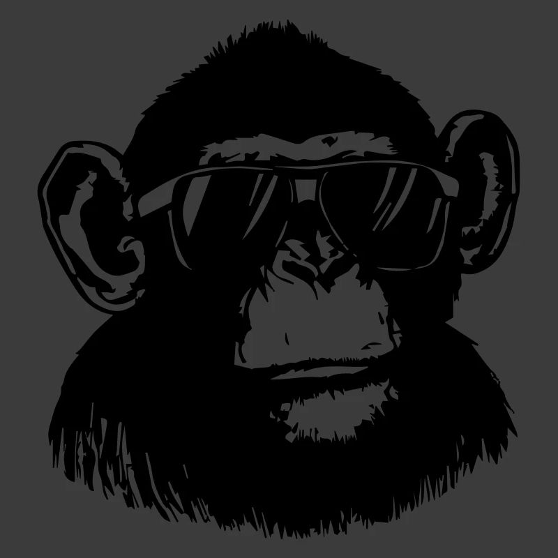 Cool Monkey