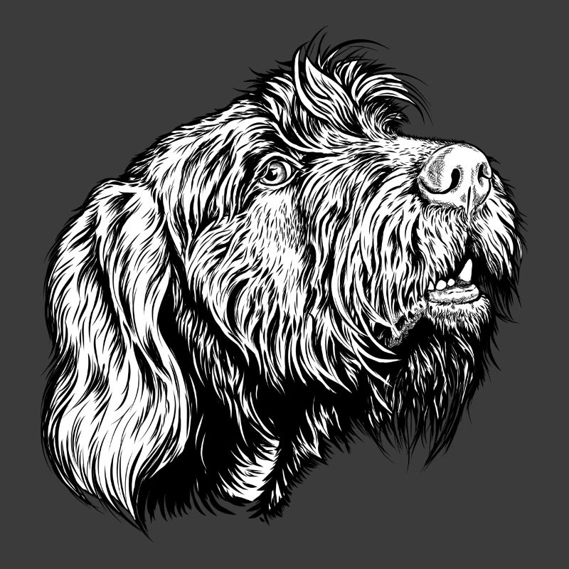 Pudelpointer redet mit