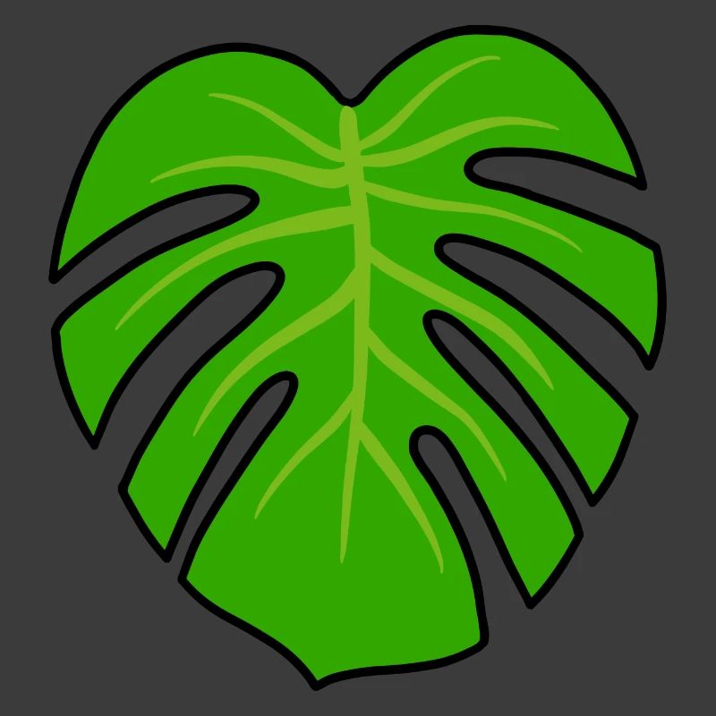 Monstera Pflanze