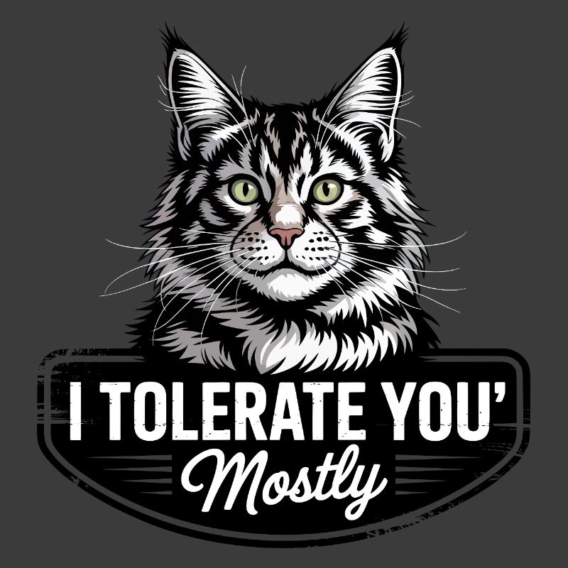 Tolerante Katze