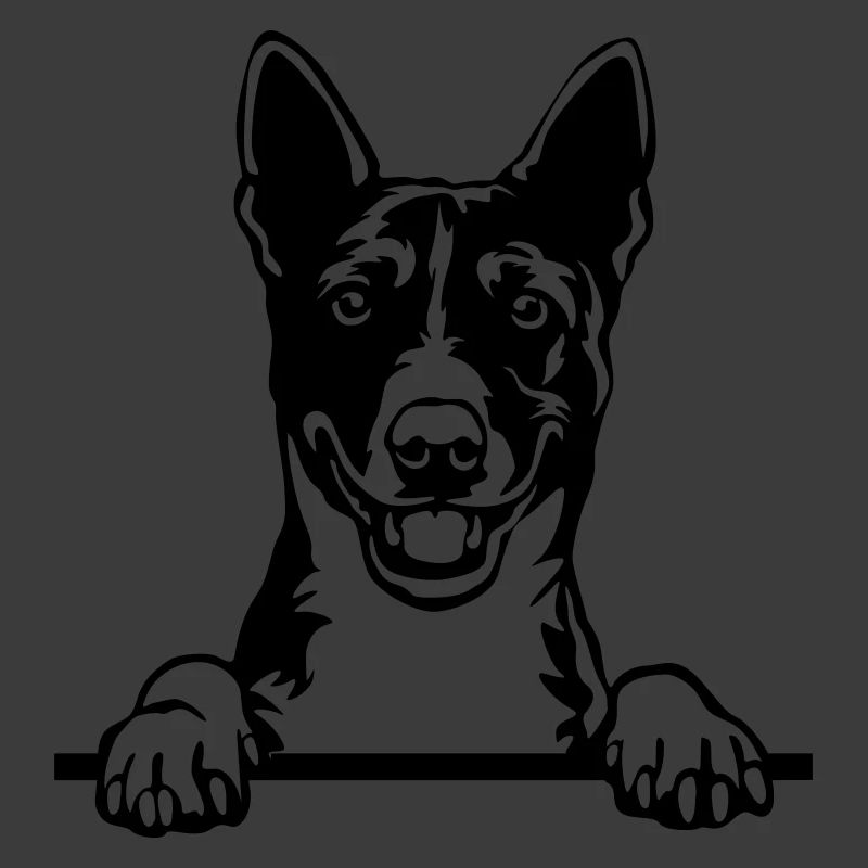 Chef Basenji