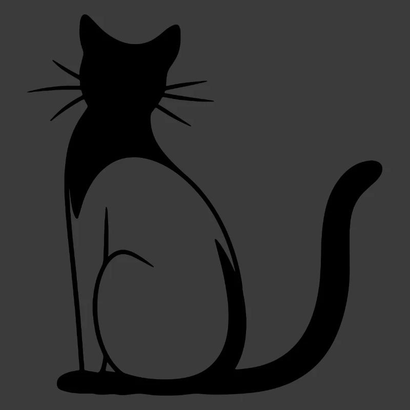 Cat Drawing