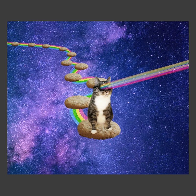Cute tabby cat in outer space