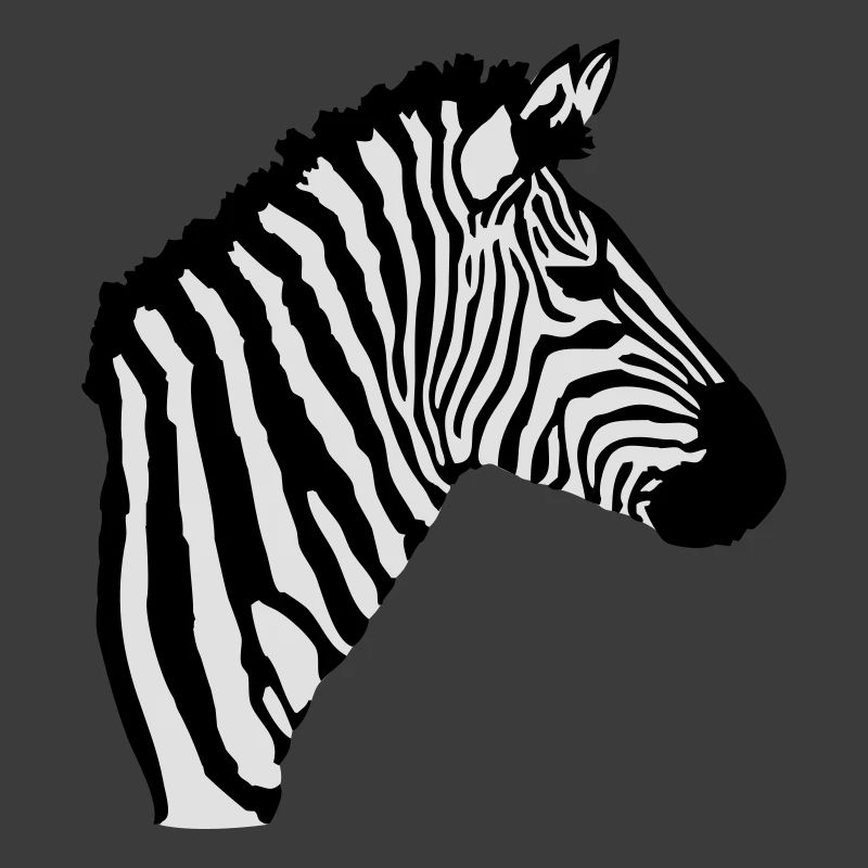 A zebra's head