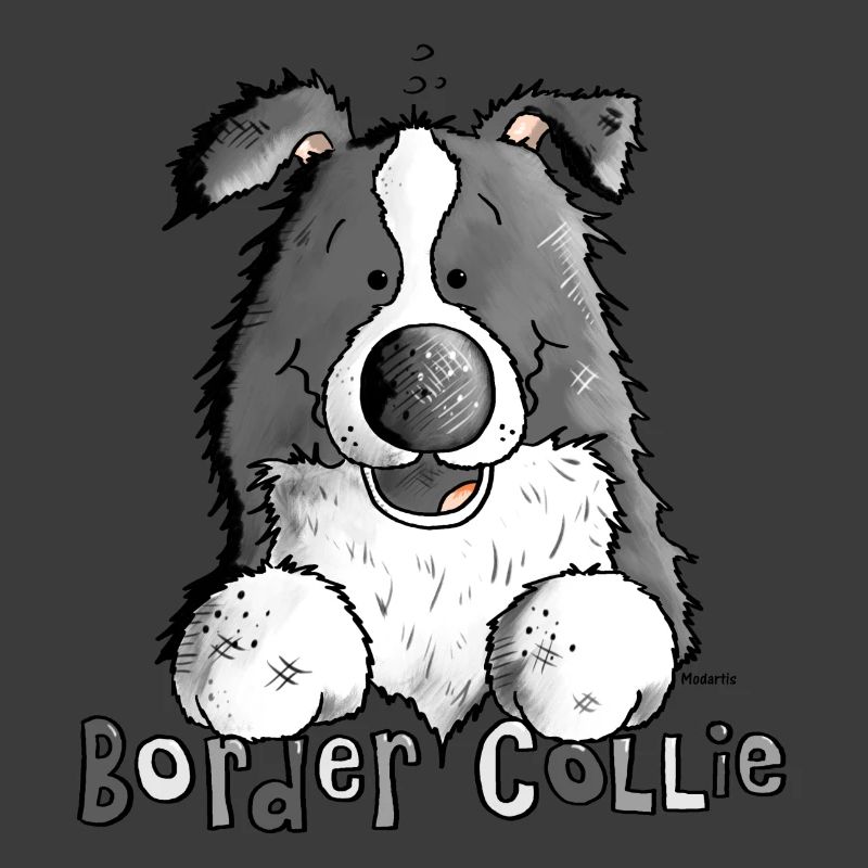Petit Boder Collie - Chien de Berger