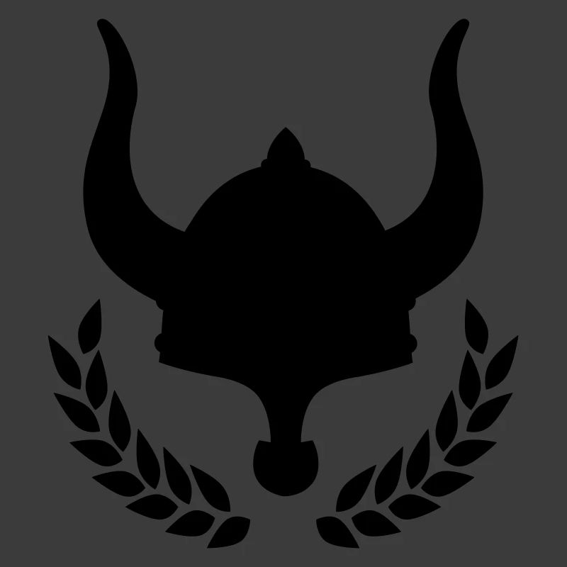 wikinger vikings