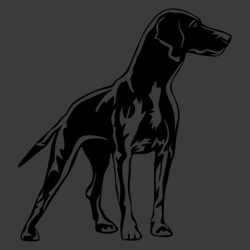 Magyar Vizsla