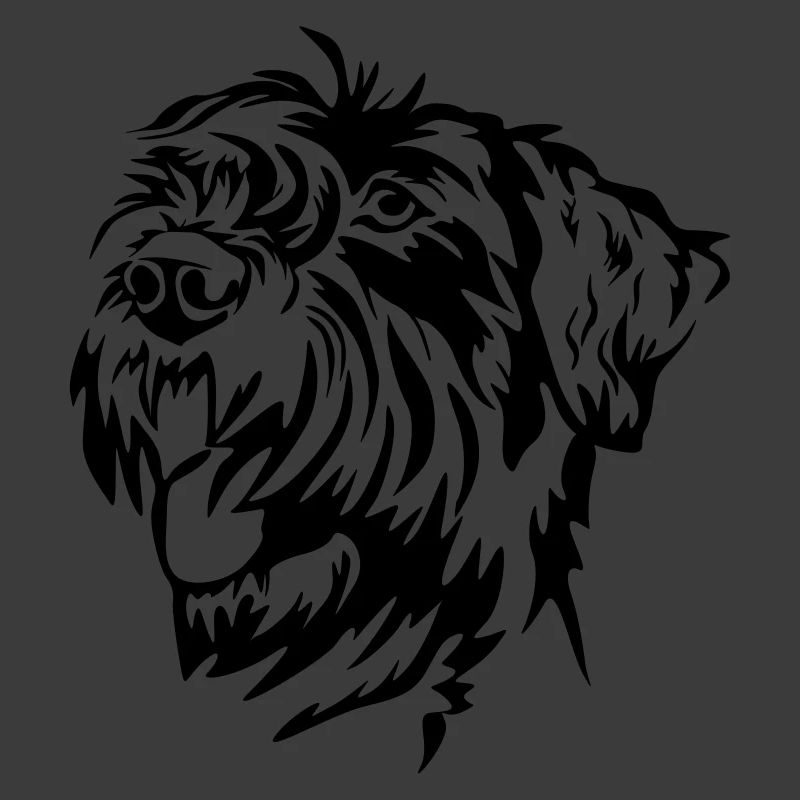 Tête de schnauzer géant