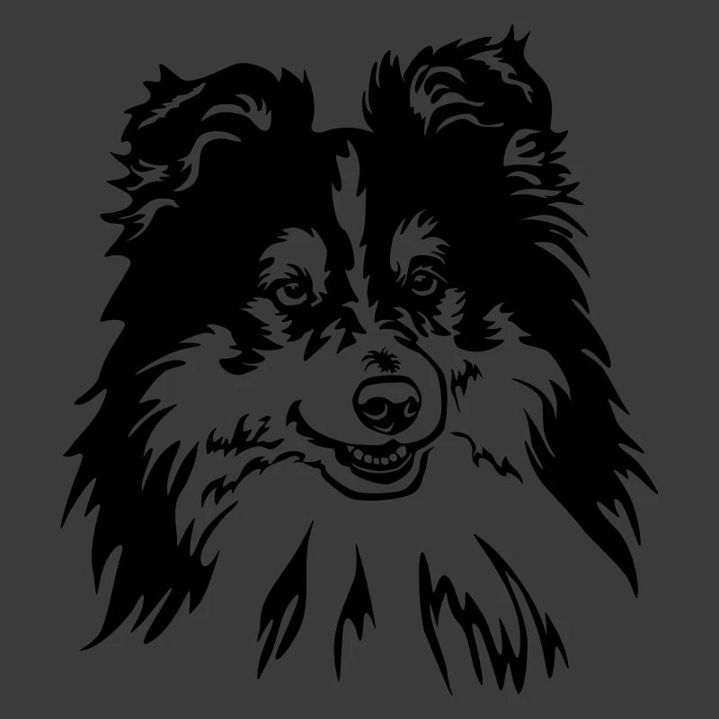 Sheltie Head