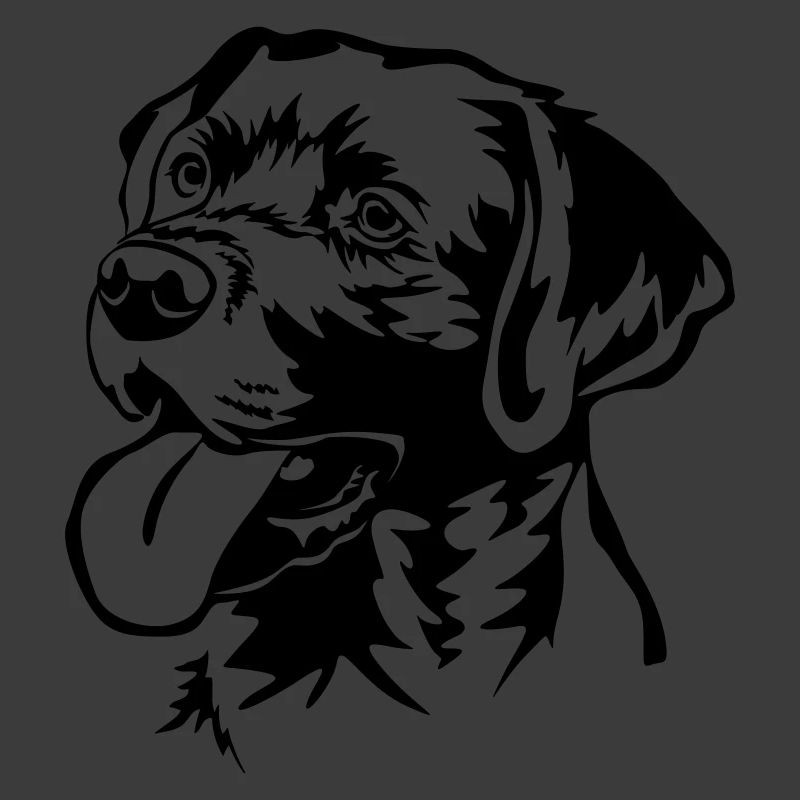 Labrador Retriever Head
