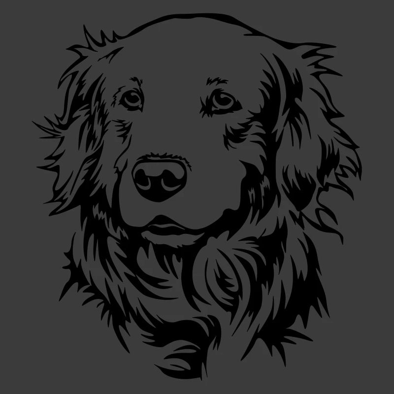 Golden Retriever Kopf