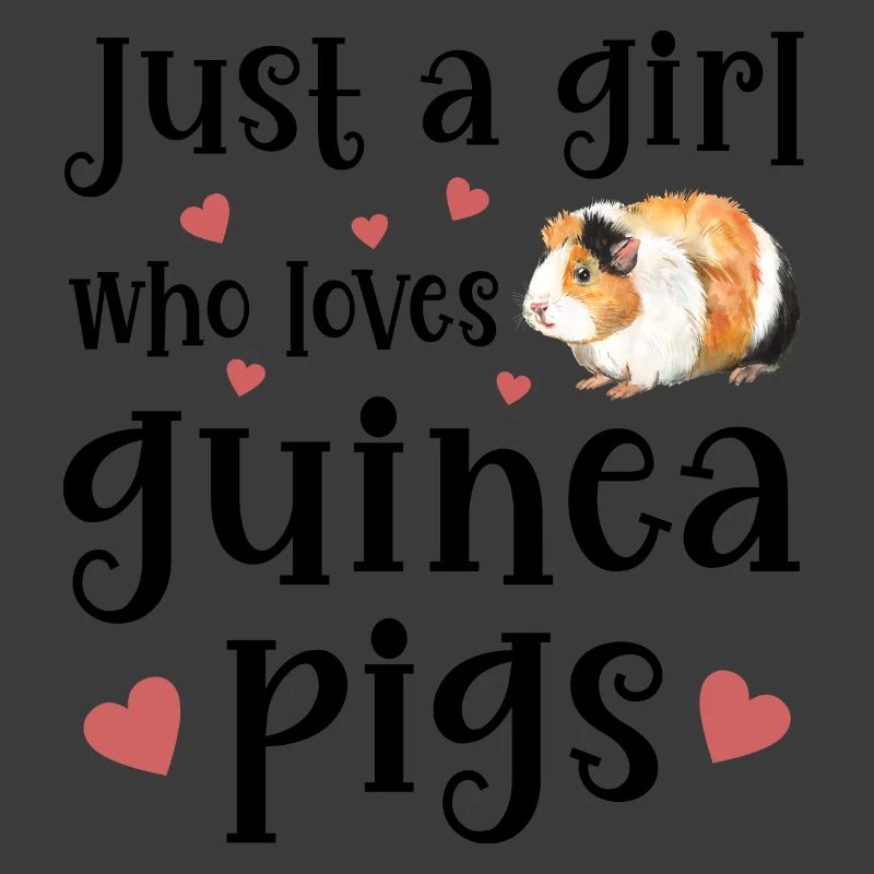 Meerschweinchen