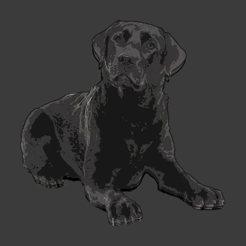 Schwarzer Labrador