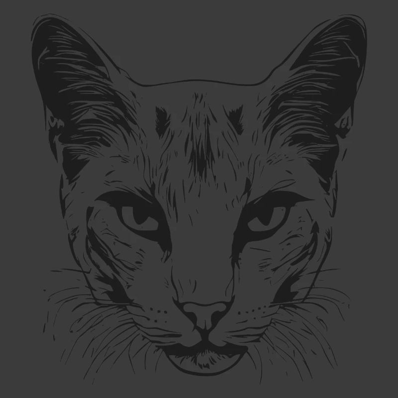 Katze 1