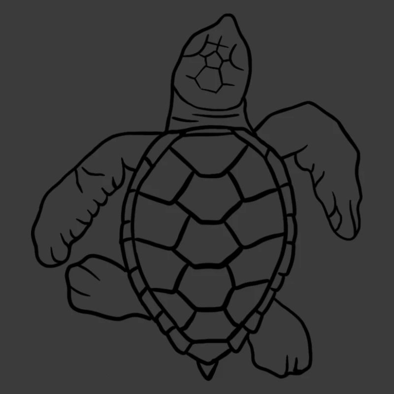Kleine Schildkröte