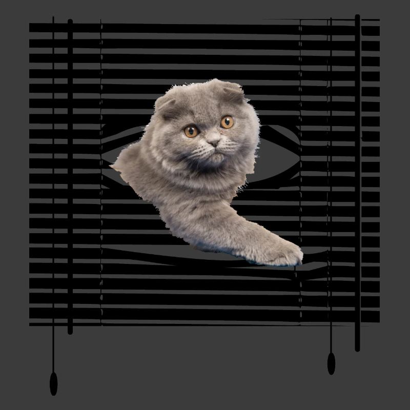 Mon chat s'évade