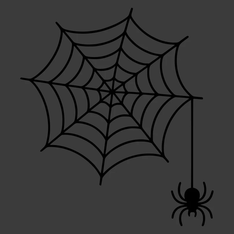 Spider web with spider silhouette
