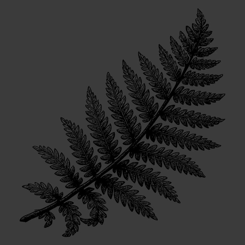 Schwarze abstrakte Blumenillustration