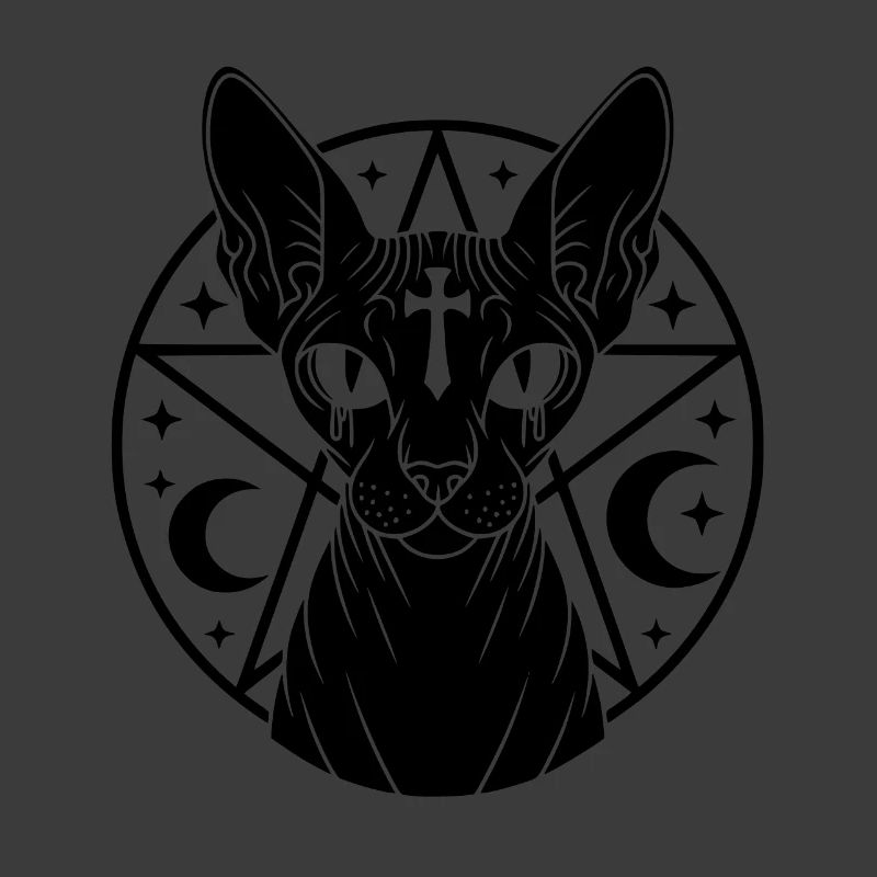 Sphynx Katze Okkult