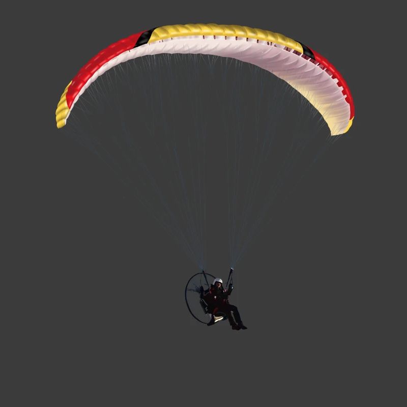Paramotor
