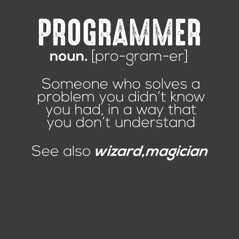 Funny Programmer Meaning