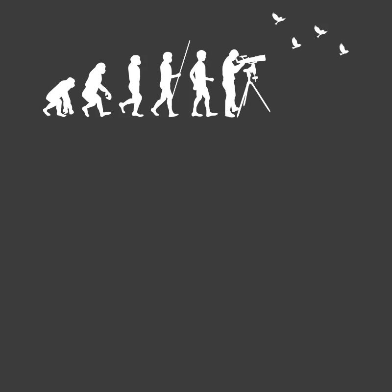 Birdwatching - Vogelbeobachtung - Evolution - fun