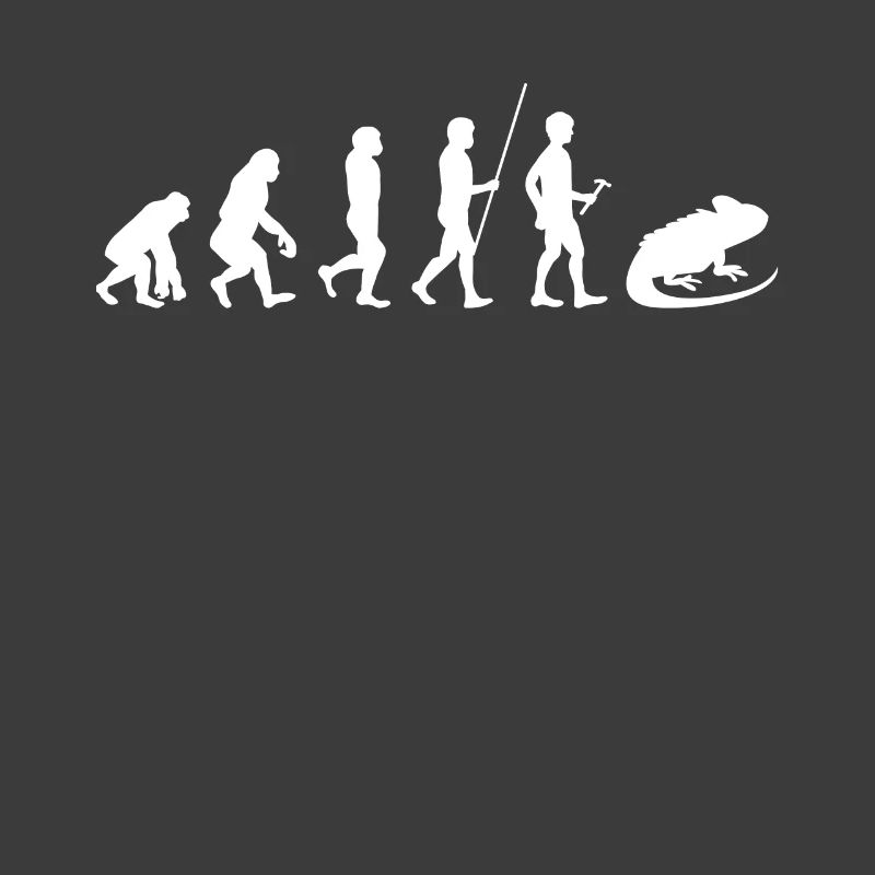 Reptile - Iguana - Iguana Owners - Evolution
