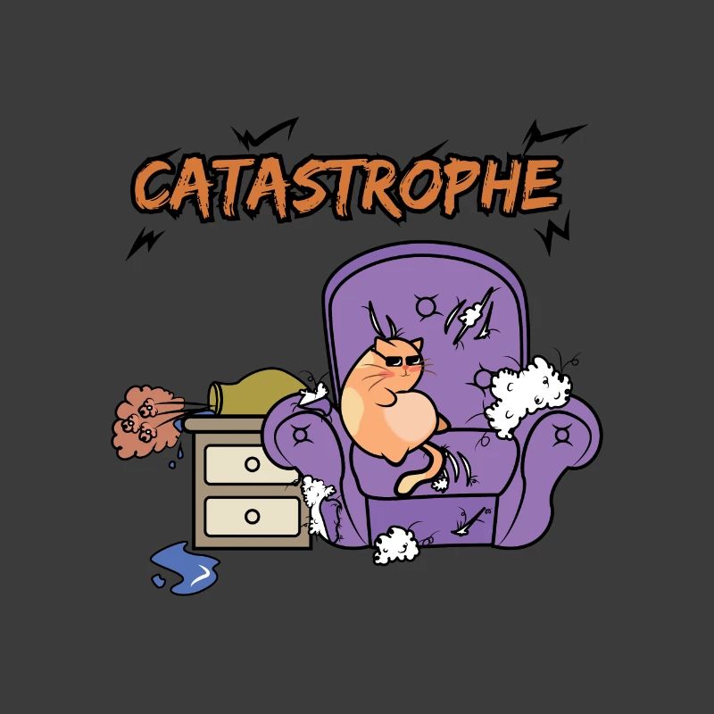 Katze Katastrophe