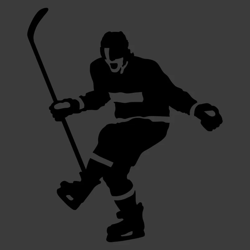 Eishockey goal