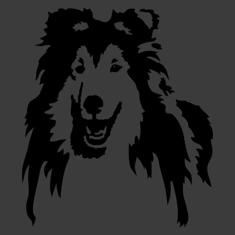 Collie
