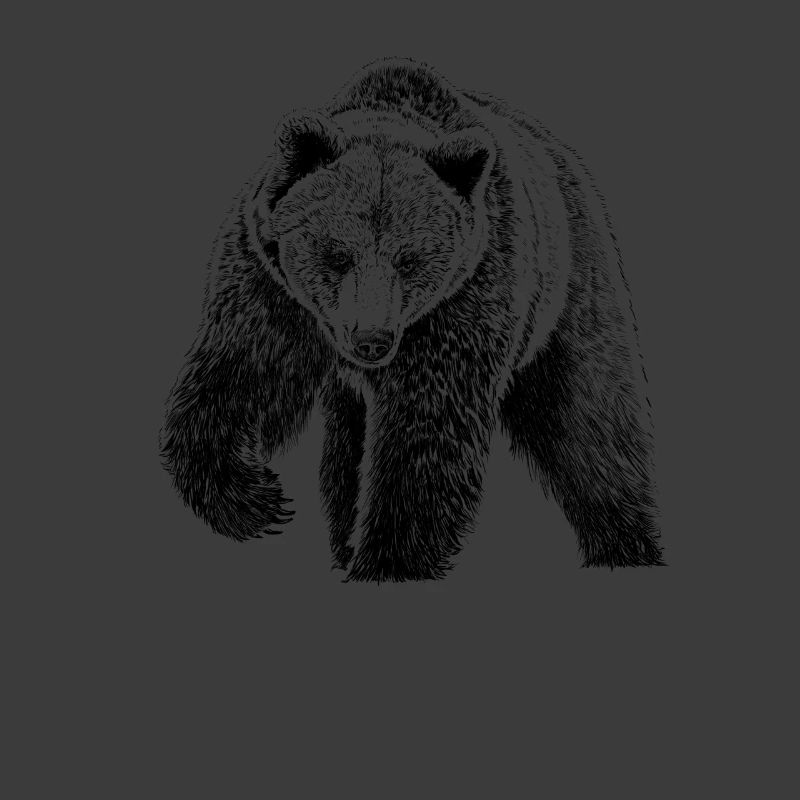 Bär