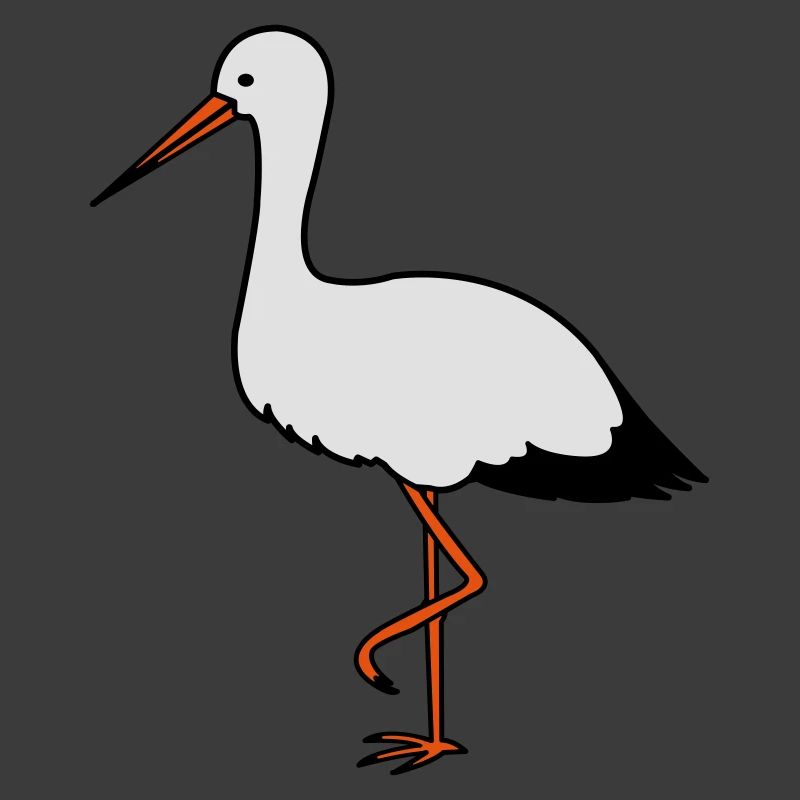 storch