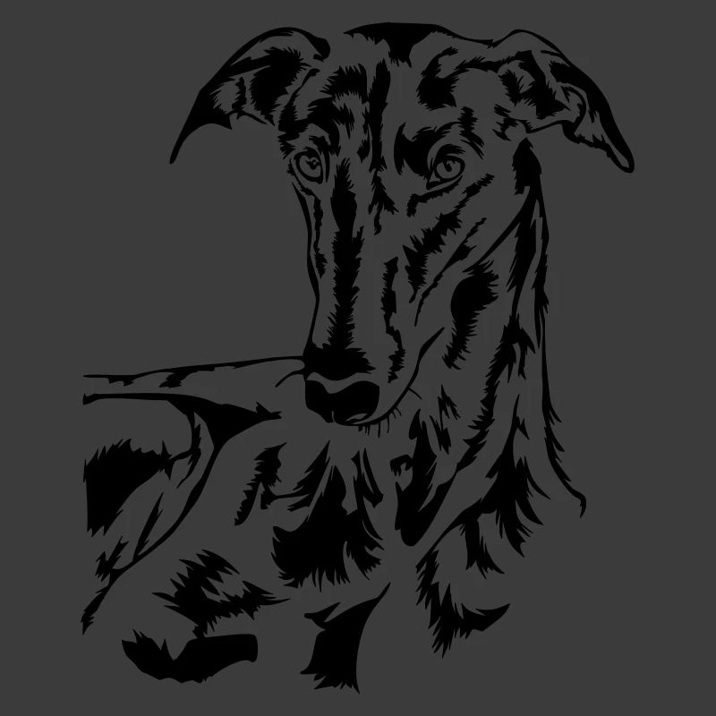 Galgo head