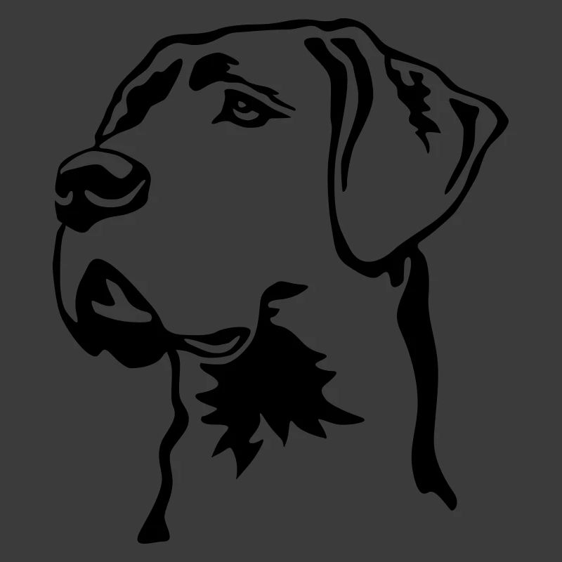 Great Dane head
