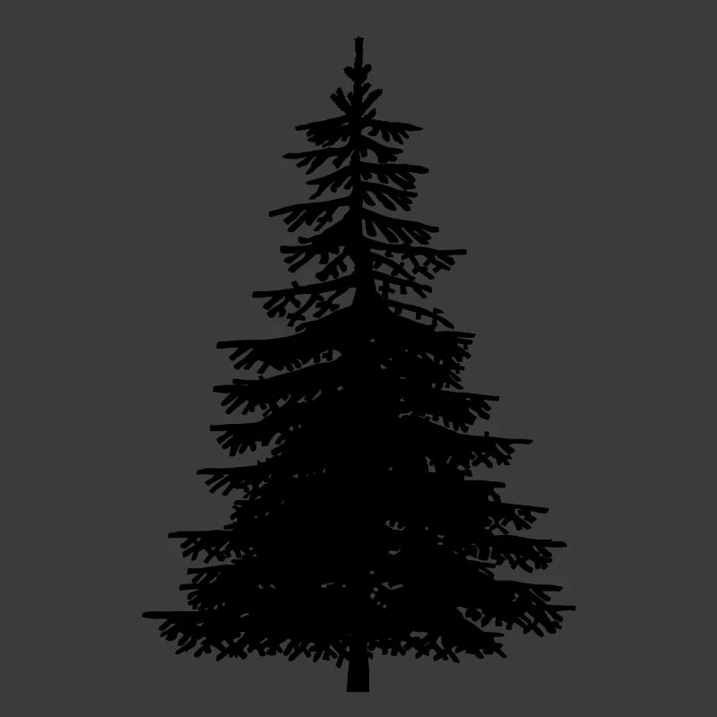 Fir Tree Nature Forest Ecology Nature Conservation Wilderness