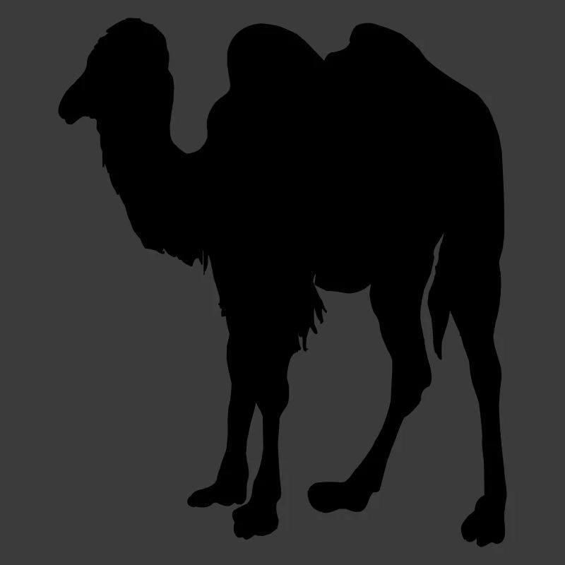Camel, Camel
